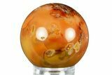 Colorful Carnelian Agate Sphere - Madagascar #286116-1